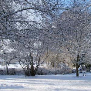 Rendham Pippins snow 2010 2