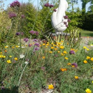 Rendham Thurstons Barn 2010 garden 2
