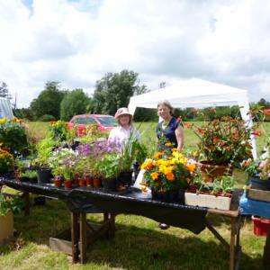 plant stall gd ael