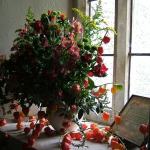 DSCF4625
