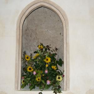 DSCF4640