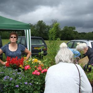 Flower Stall