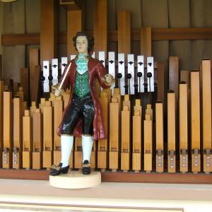 Details of organ