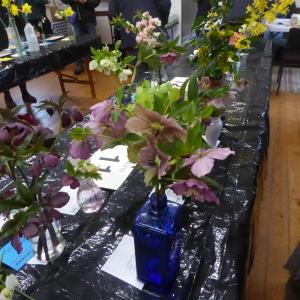 P1100557