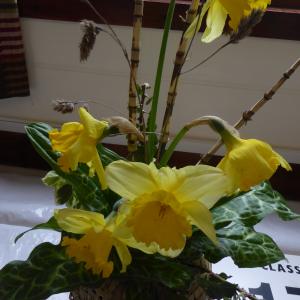 P1110494