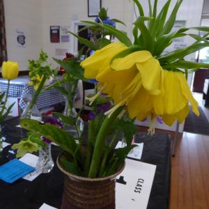 P1110503